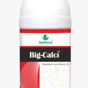 Big-Calci  ( Concentrated Liquid Calcium-11% )