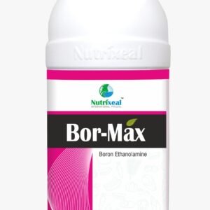 Bor-Max