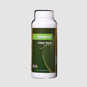 Come Back - Organic Fungicide