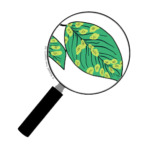 disease-control-inspect-nutrixeal.png