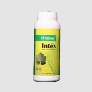 intex-powdery-mildew-nutrixeal-international-pvt-ltd-copy.jpg