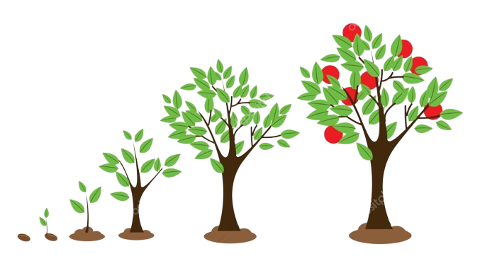 plant-growth-development-nutrixeal.png