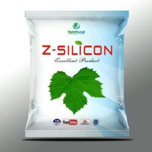 Z-SILICON