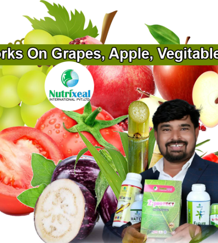works-on-grapes-apple-pomegranate-chilli-sugarcane-bengan-vegitables-nutrixeal